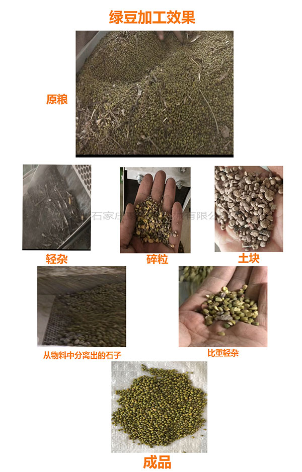 1590033471495772.jpg 綠豆生產(chǎn)線效果圖.jpg